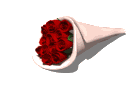 un bouquet de rose